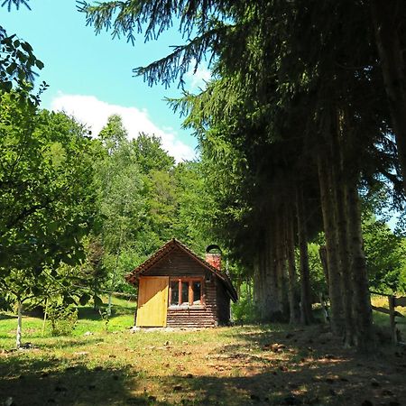 Planinska Kuca Palacinka Villa Despotovac Exterior photo