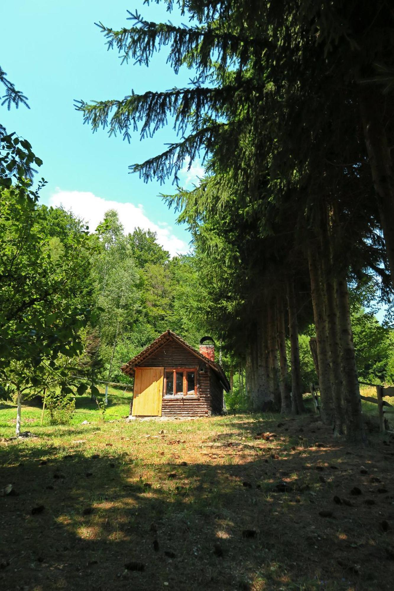 Planinska Kuca Palacinka Villa Despotovac Exterior photo